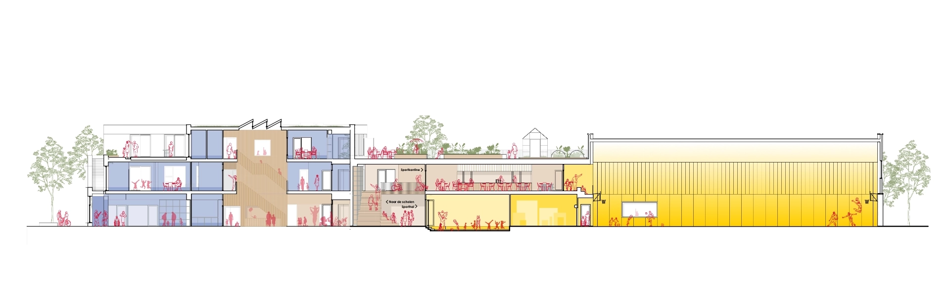 24595-1920×1080-doorsnede-cut