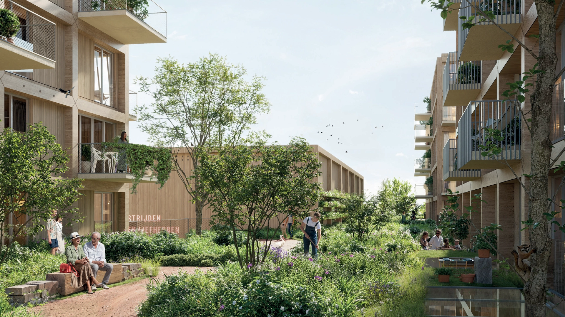 AG NOVA Architecten – Zorg