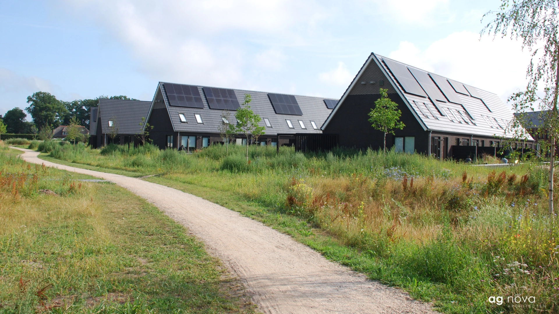 AG NOVA Architecten-waaierwoningen-0788-DAP