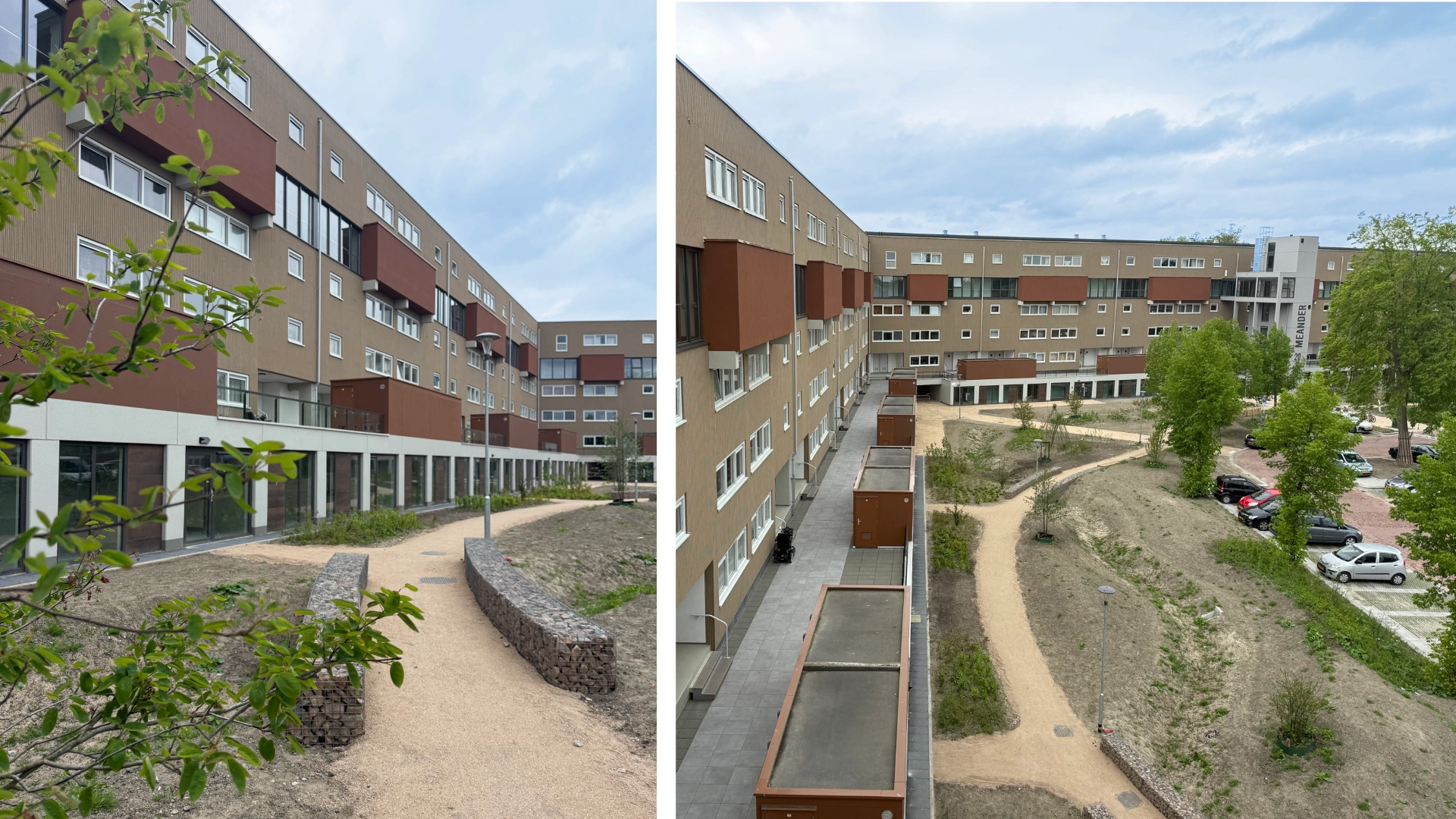 P18548-collage 2_1