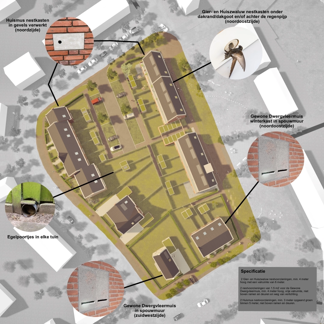natuurinclusief b-tbv nieuwsbericht_1_1-cut