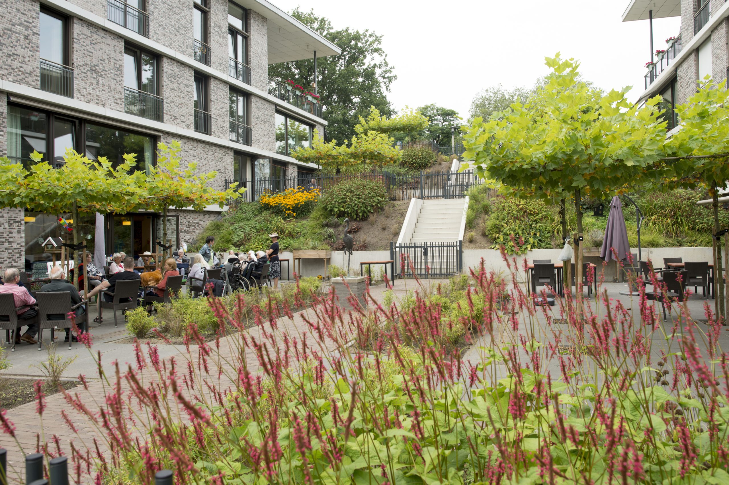 sp-heelsum-nieuwe-beekdal-02